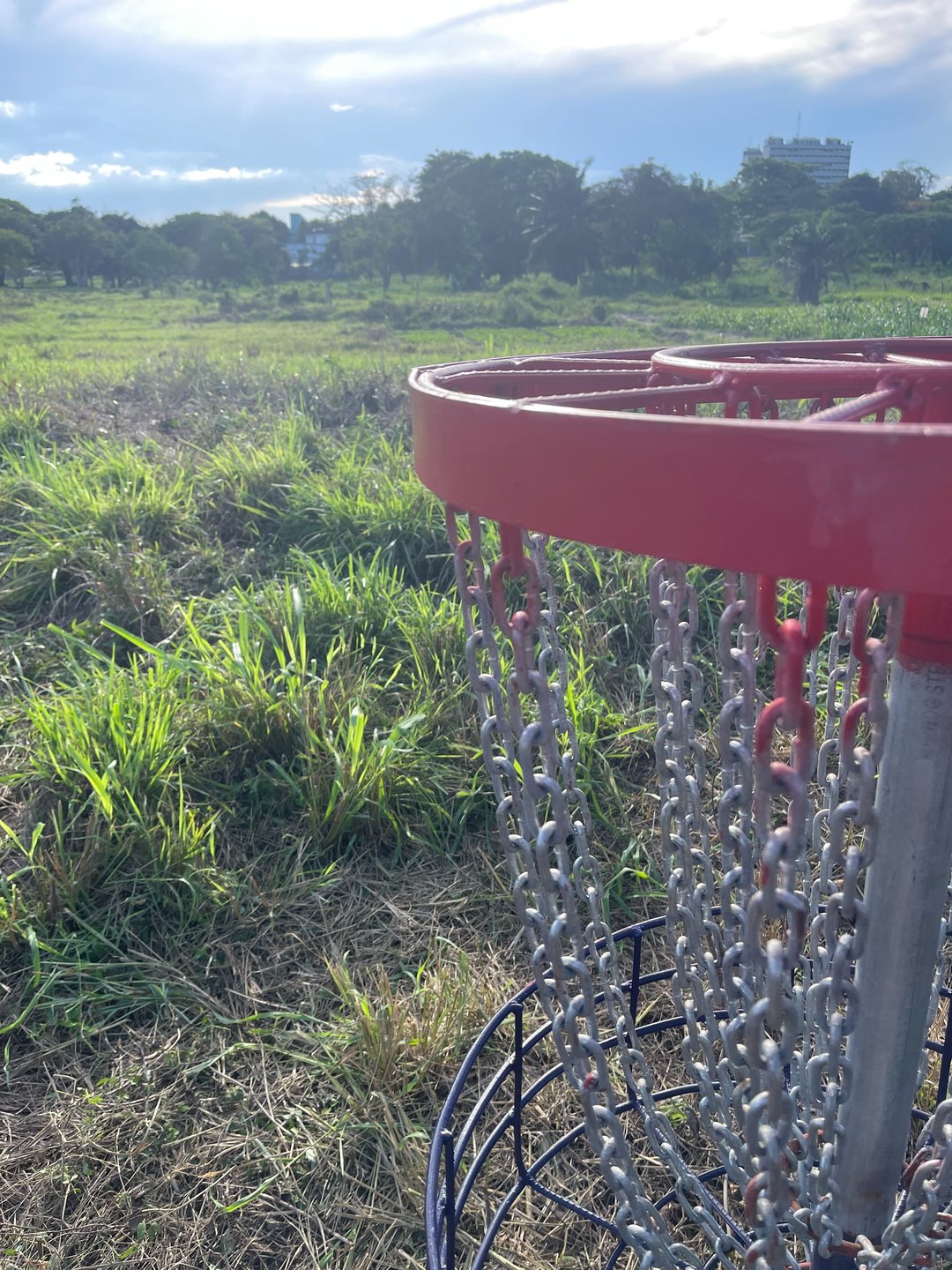 Hole 7 Basket