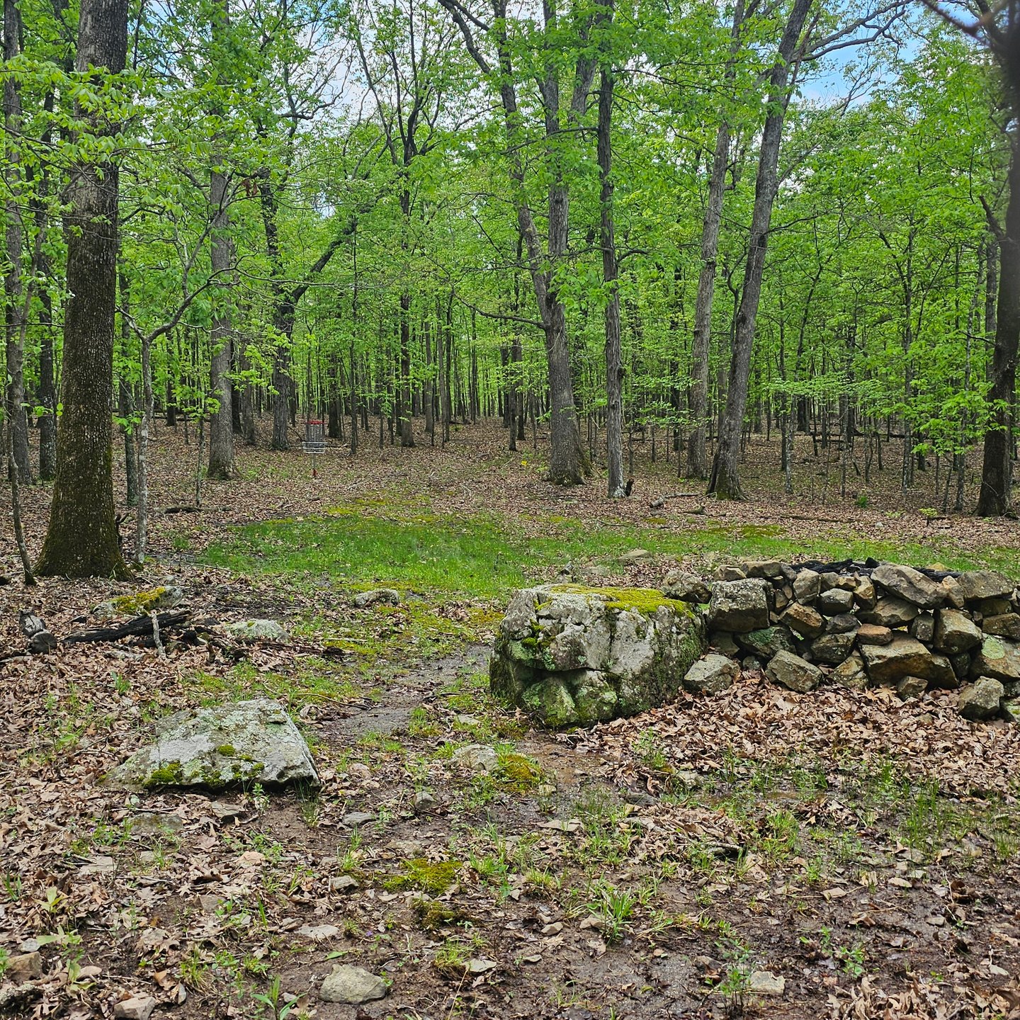 Hole 7 approach. 