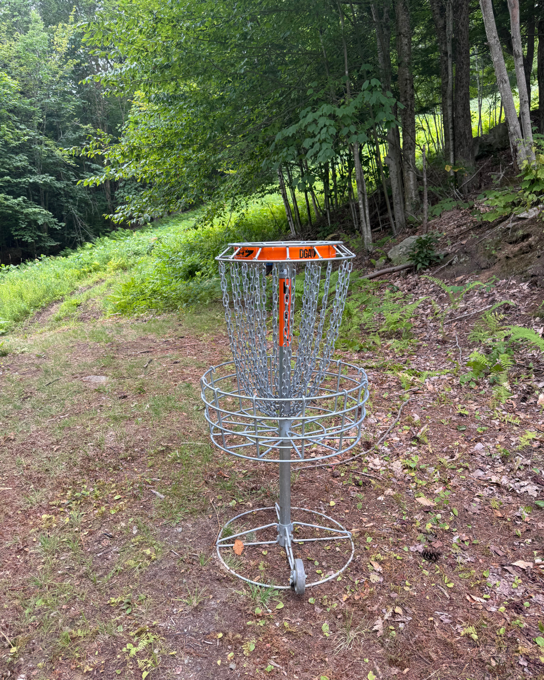 Hole 3 basket