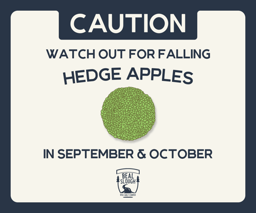 Hedgeapple awareness
