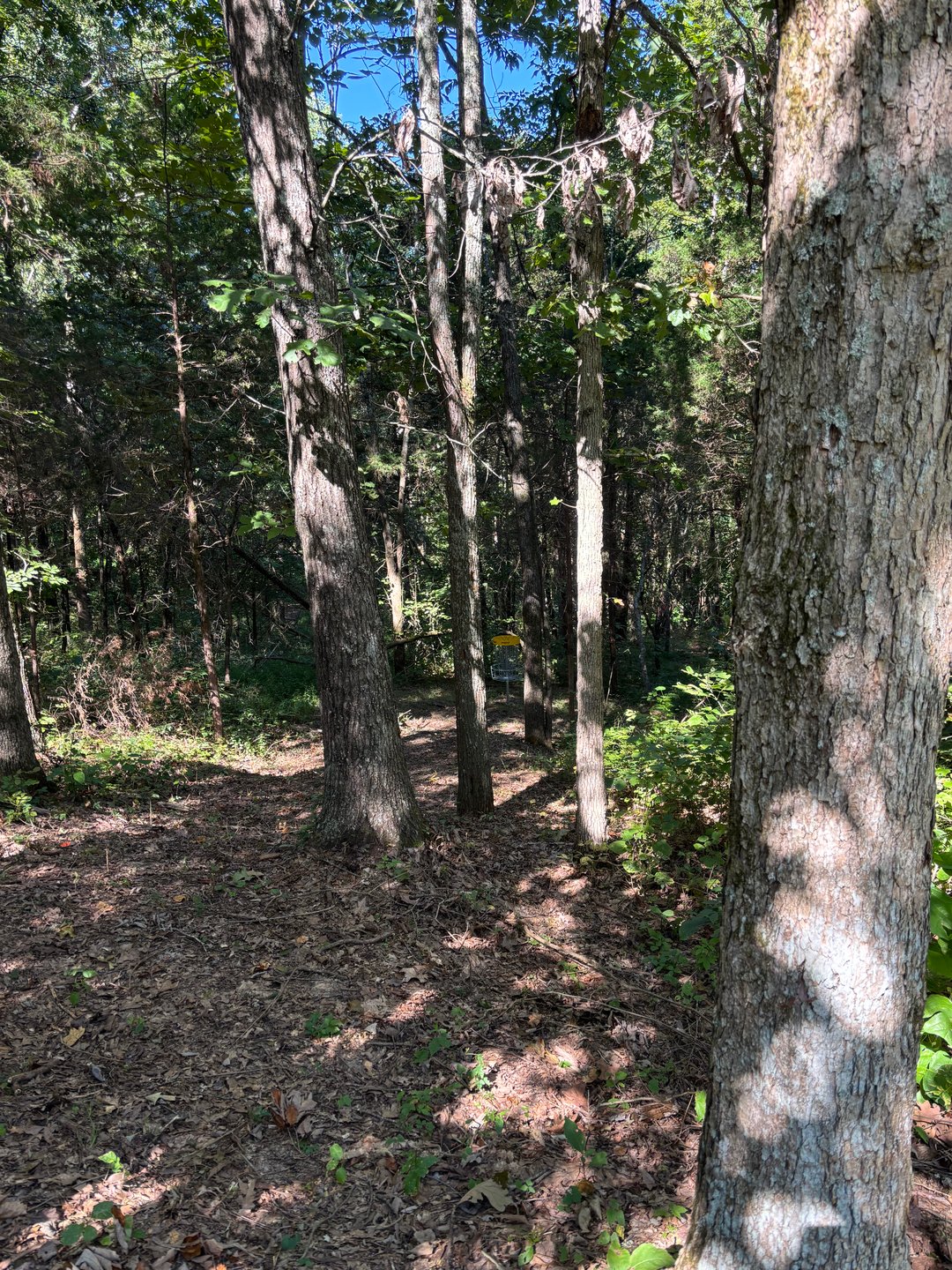 Fairway view 