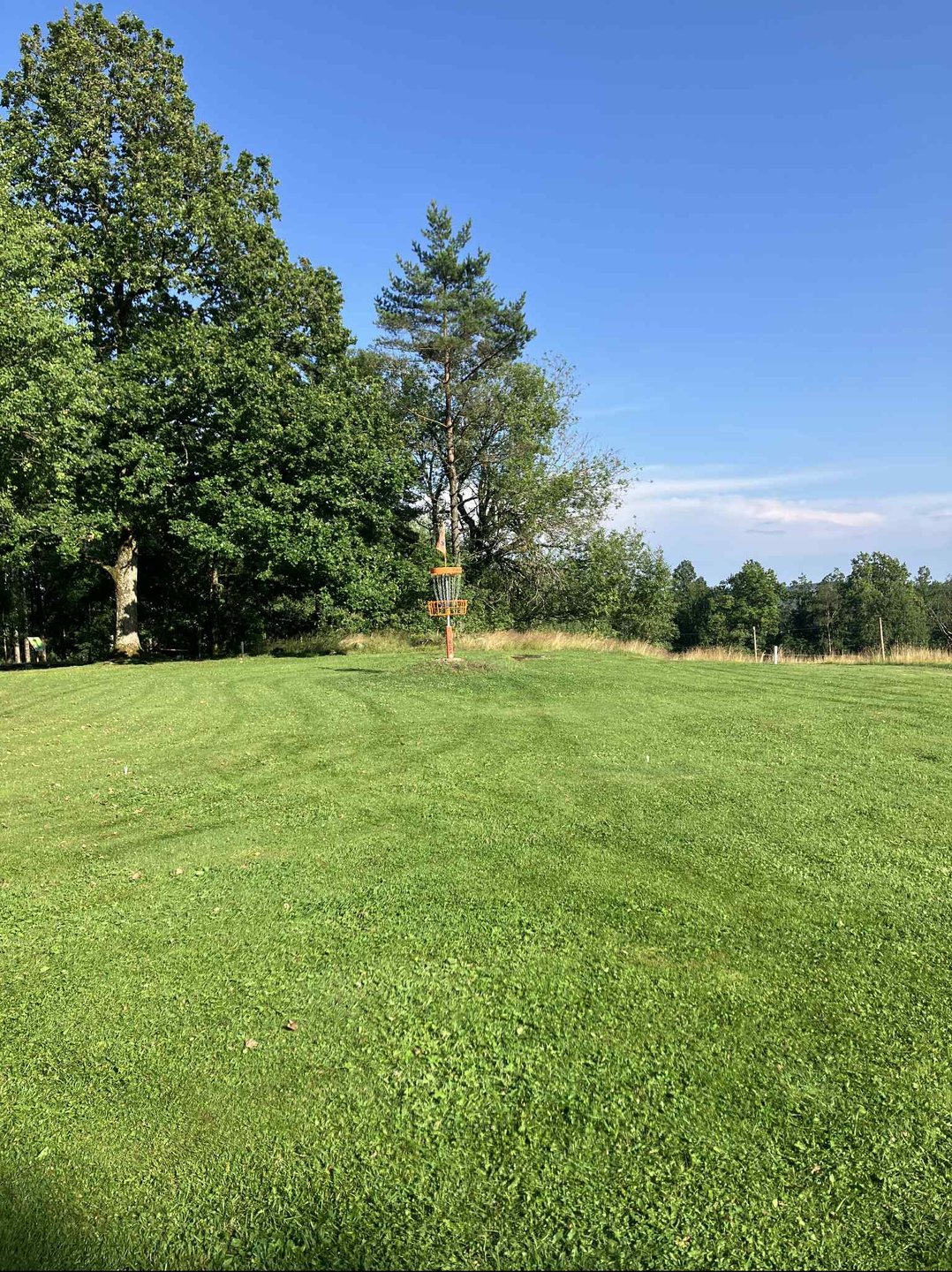 Basket on hole 2
