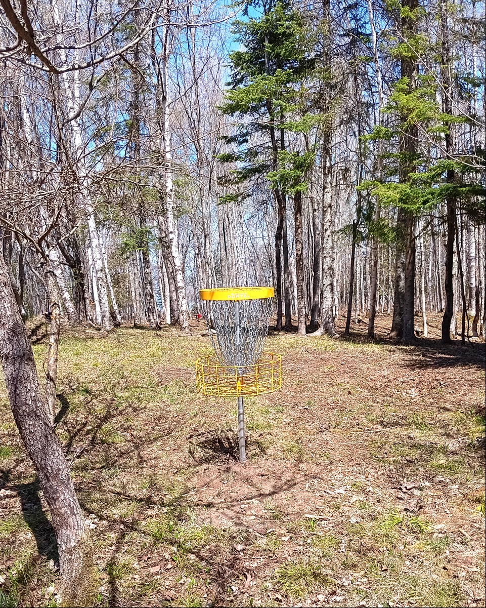 Yellow basket, hole 1.