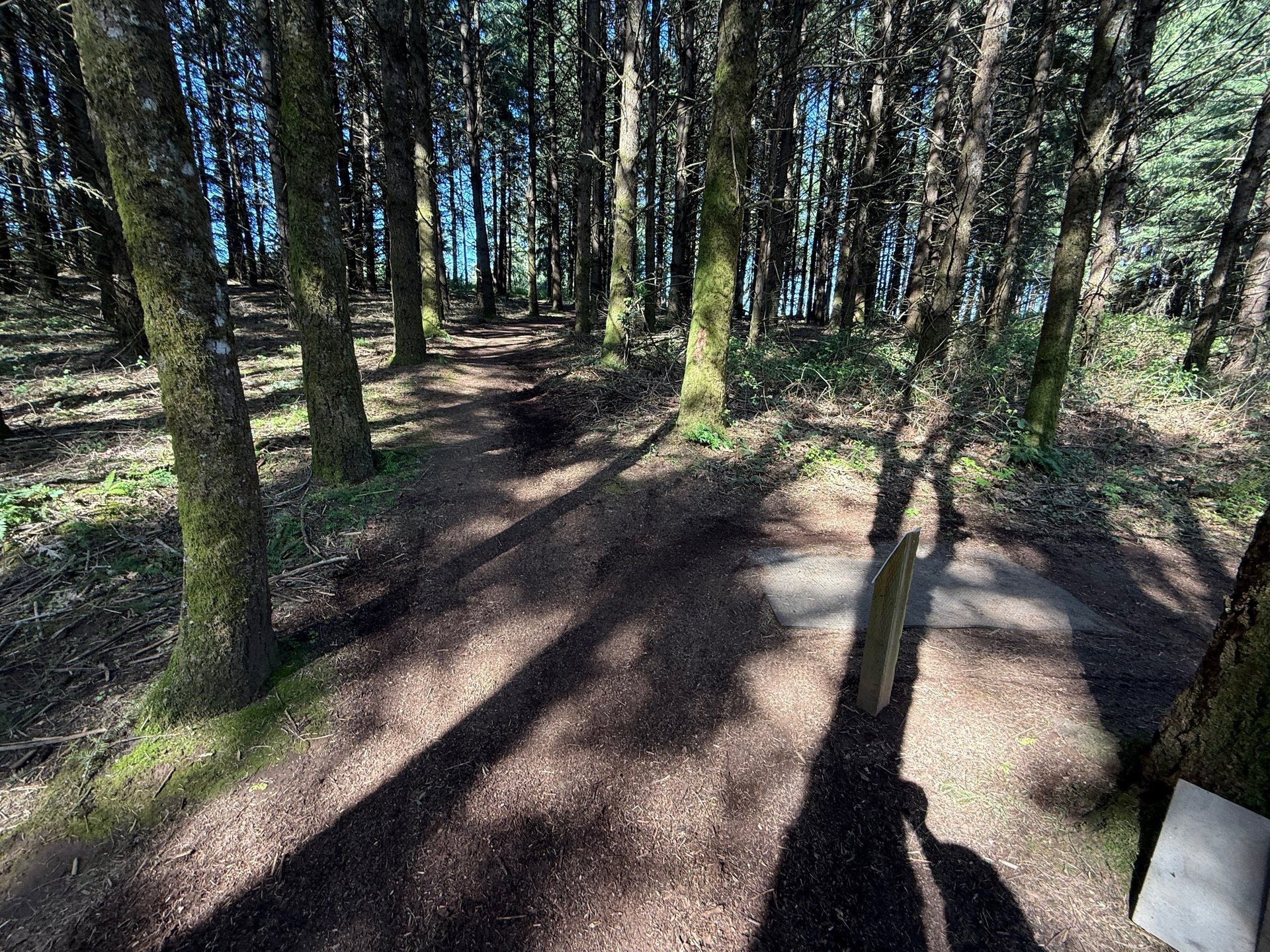 Hole 7 teebox