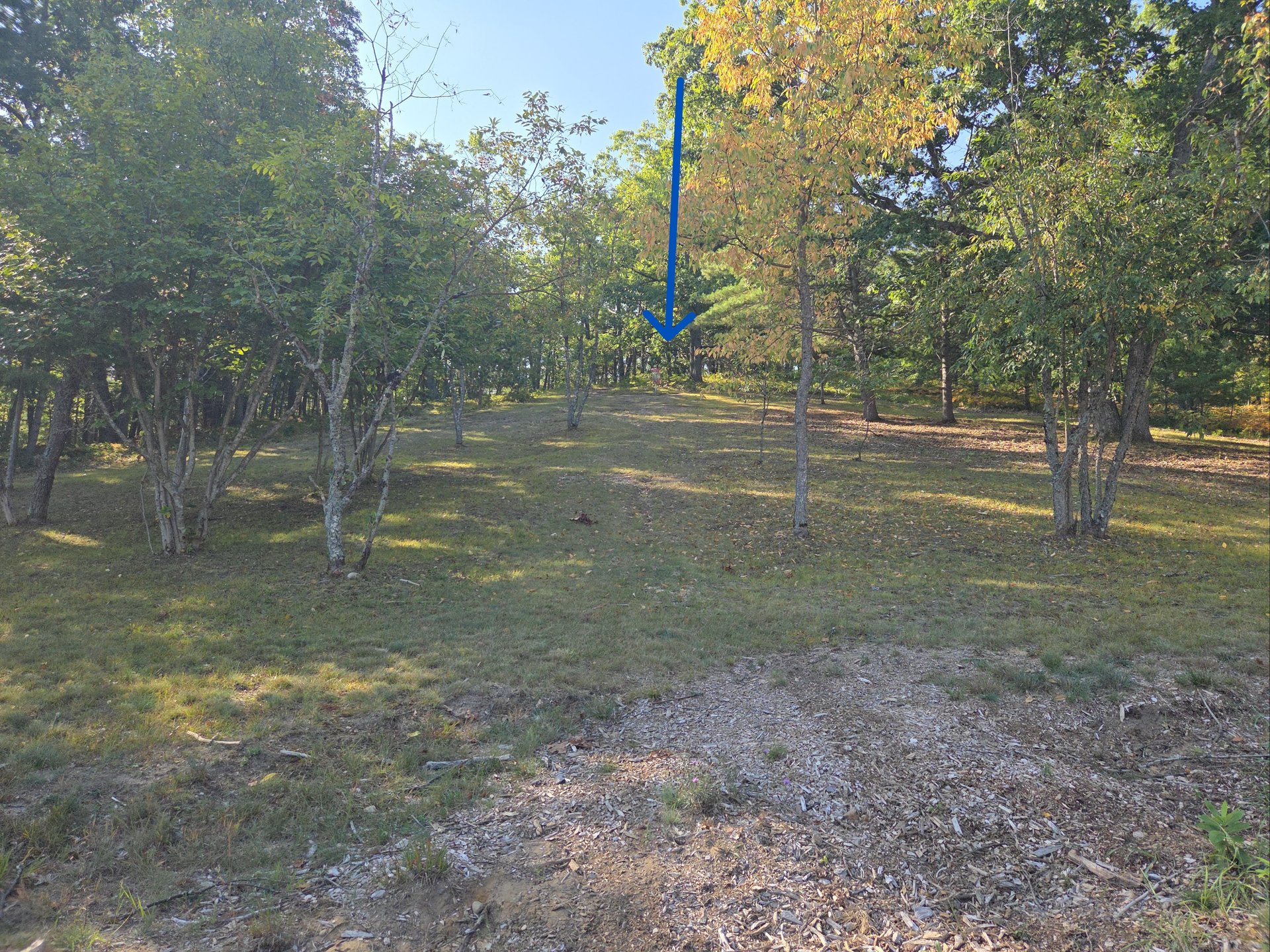 2nd Upshot
