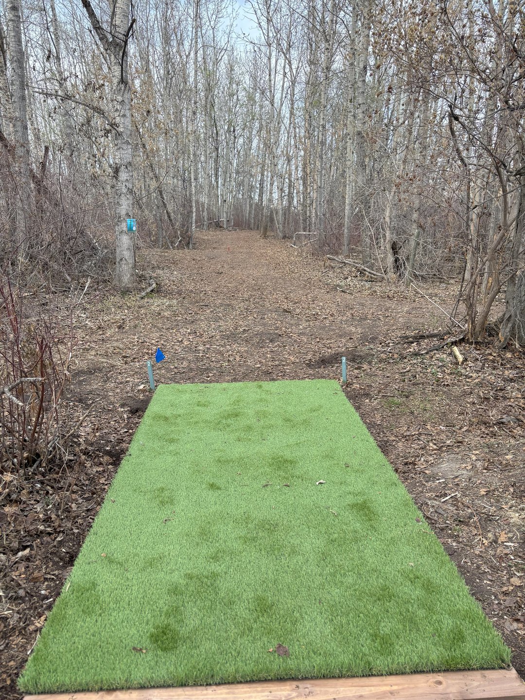 Hole 2 Blues