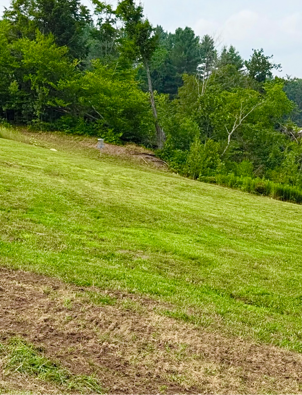 Hole 14 fairway and green