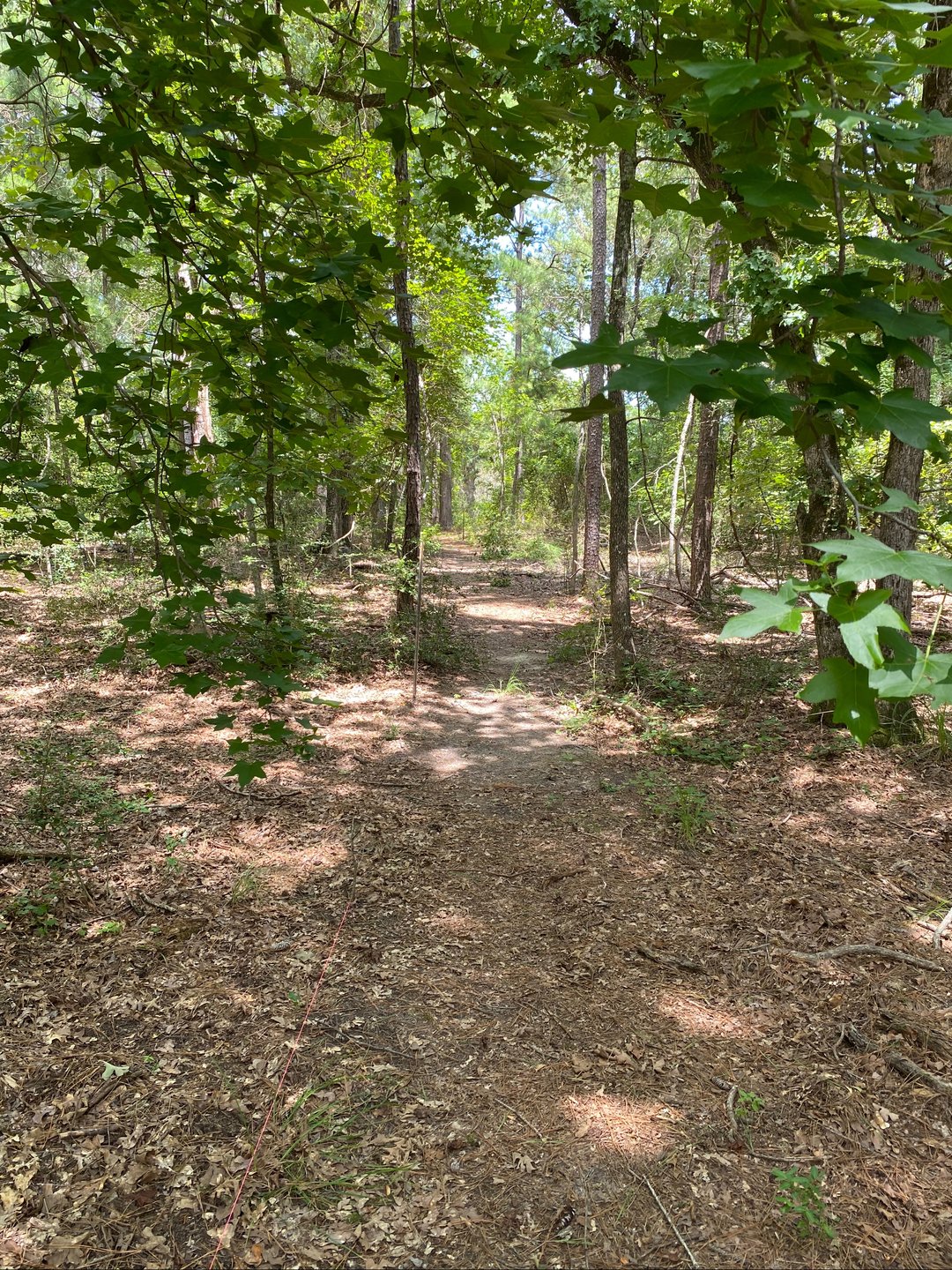 The walk to hole seven.