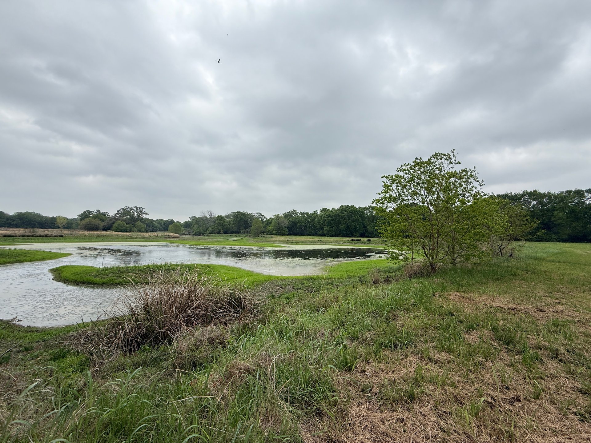 Hole 16 Green