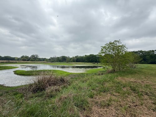 Hole 16 Green
