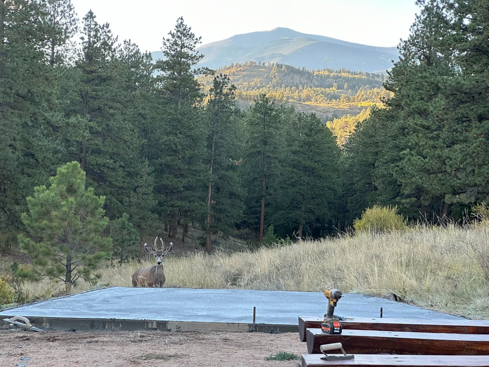 Hole 1 Tee, big downhill sound of music feeling shot.
