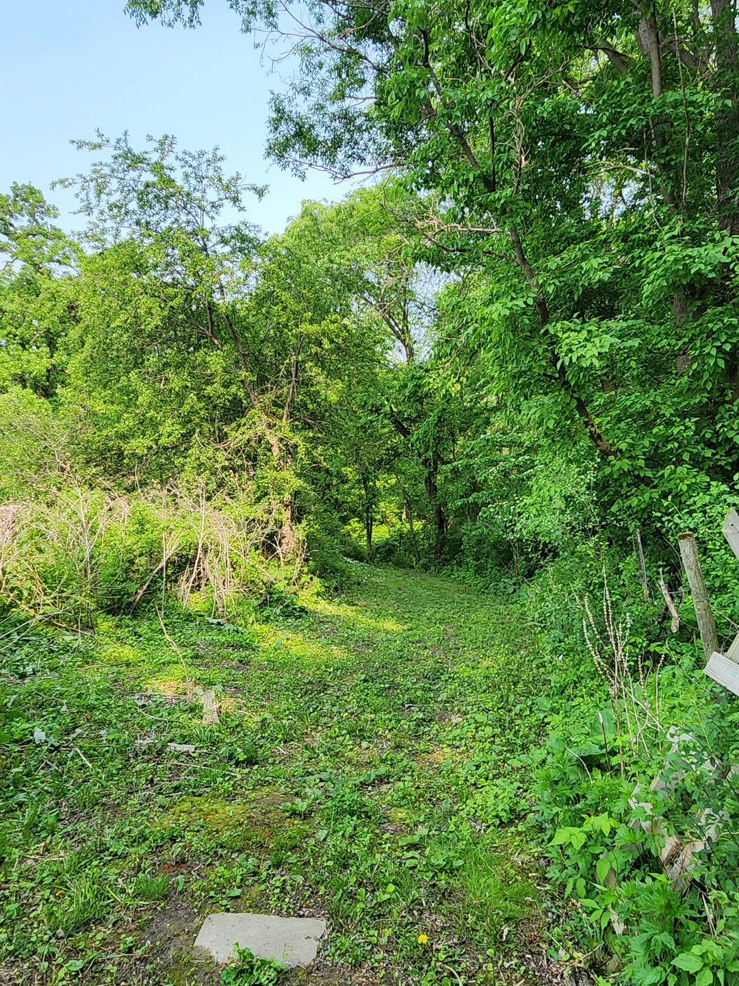 Hole 4 Tee pad. Mando right of first tree on left. 