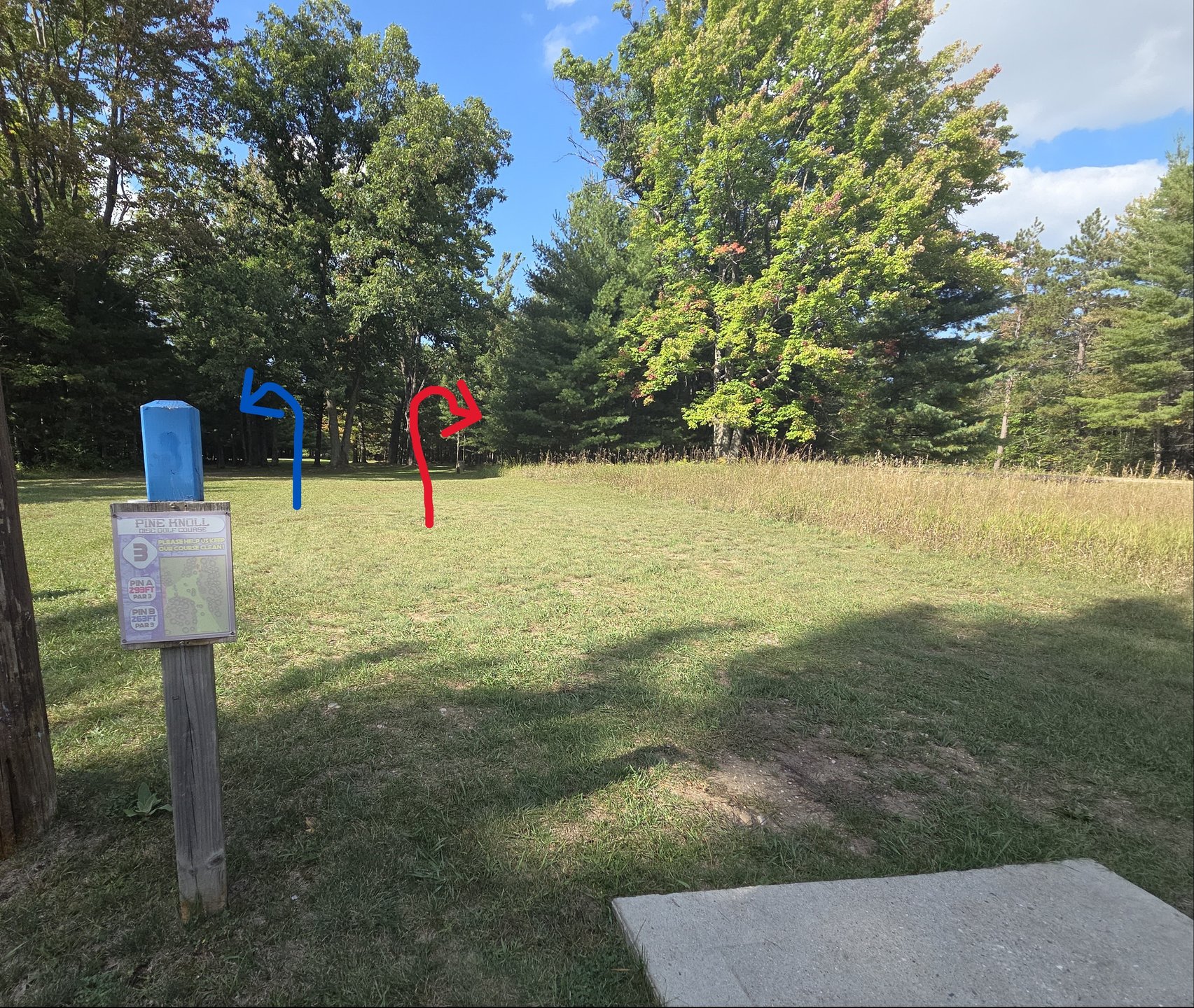 #3 Blue tee Red & Blue baskets