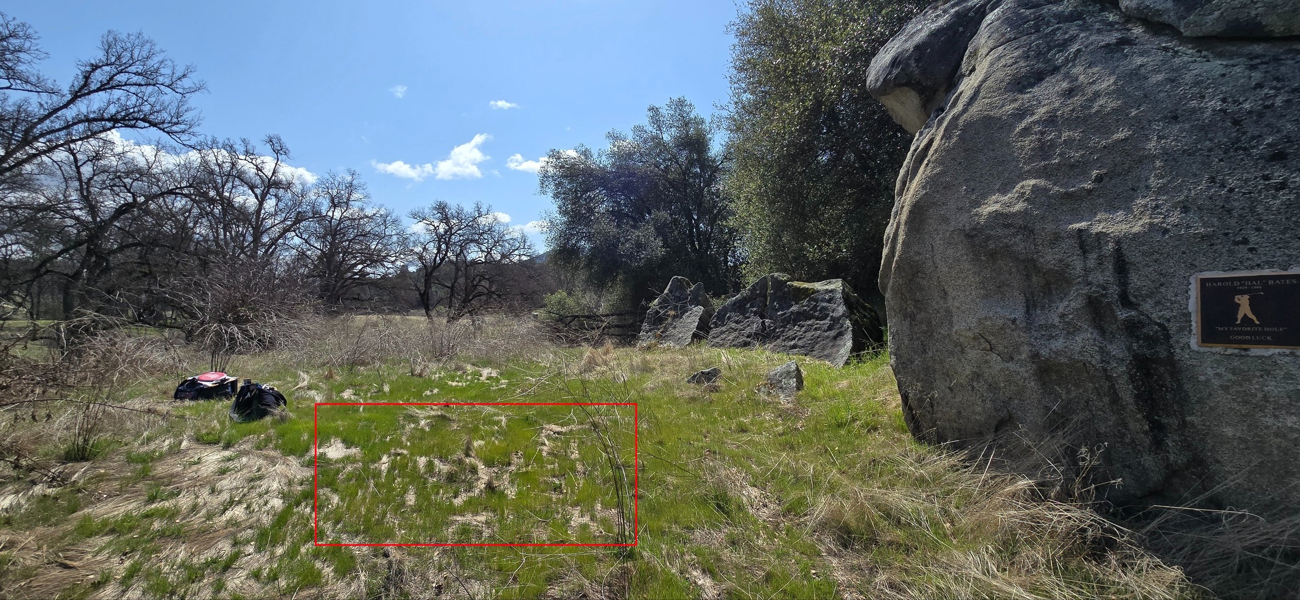 Tee on hill, behind basket 3