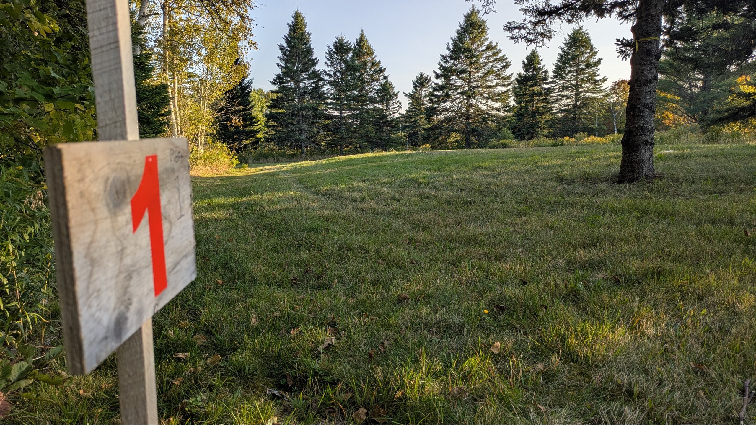 Hole 1 tee looking toward target