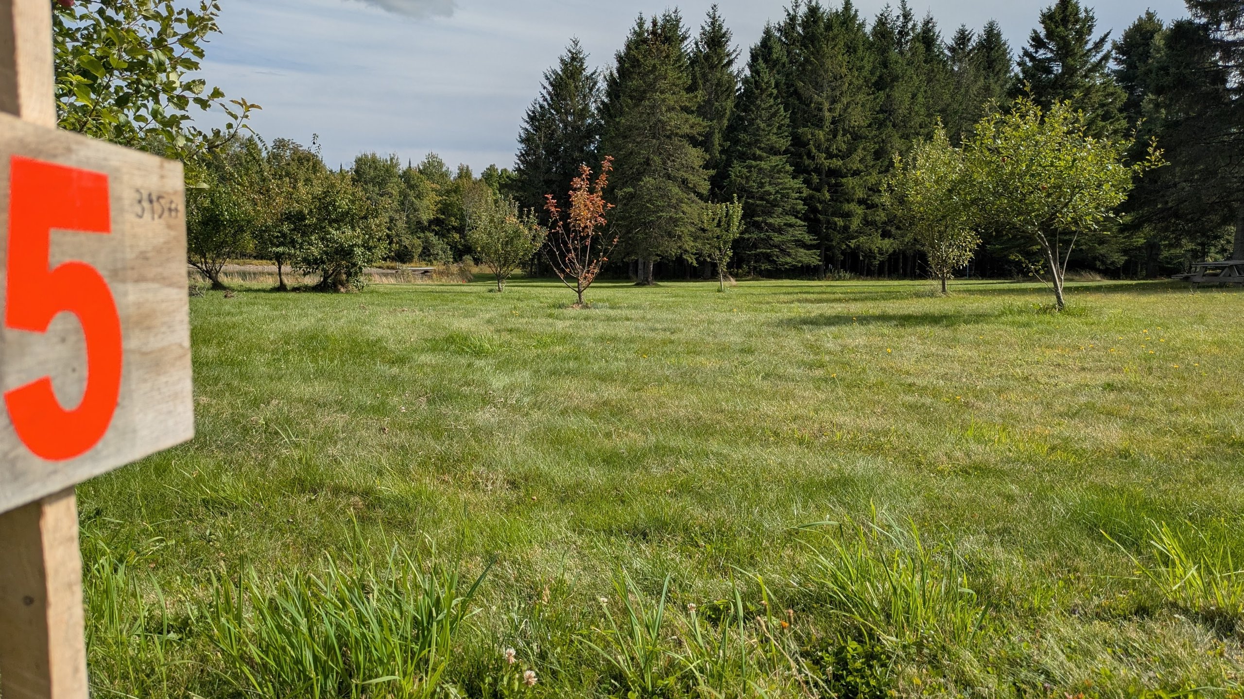 Hole 5 tee. The lake is on the left side, but should not come into play. The goal is to get to the corridor of trees from the tee, then to the basket through the corridor.