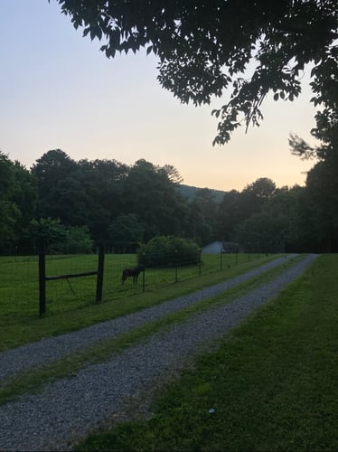 Sunset at far out disc golf