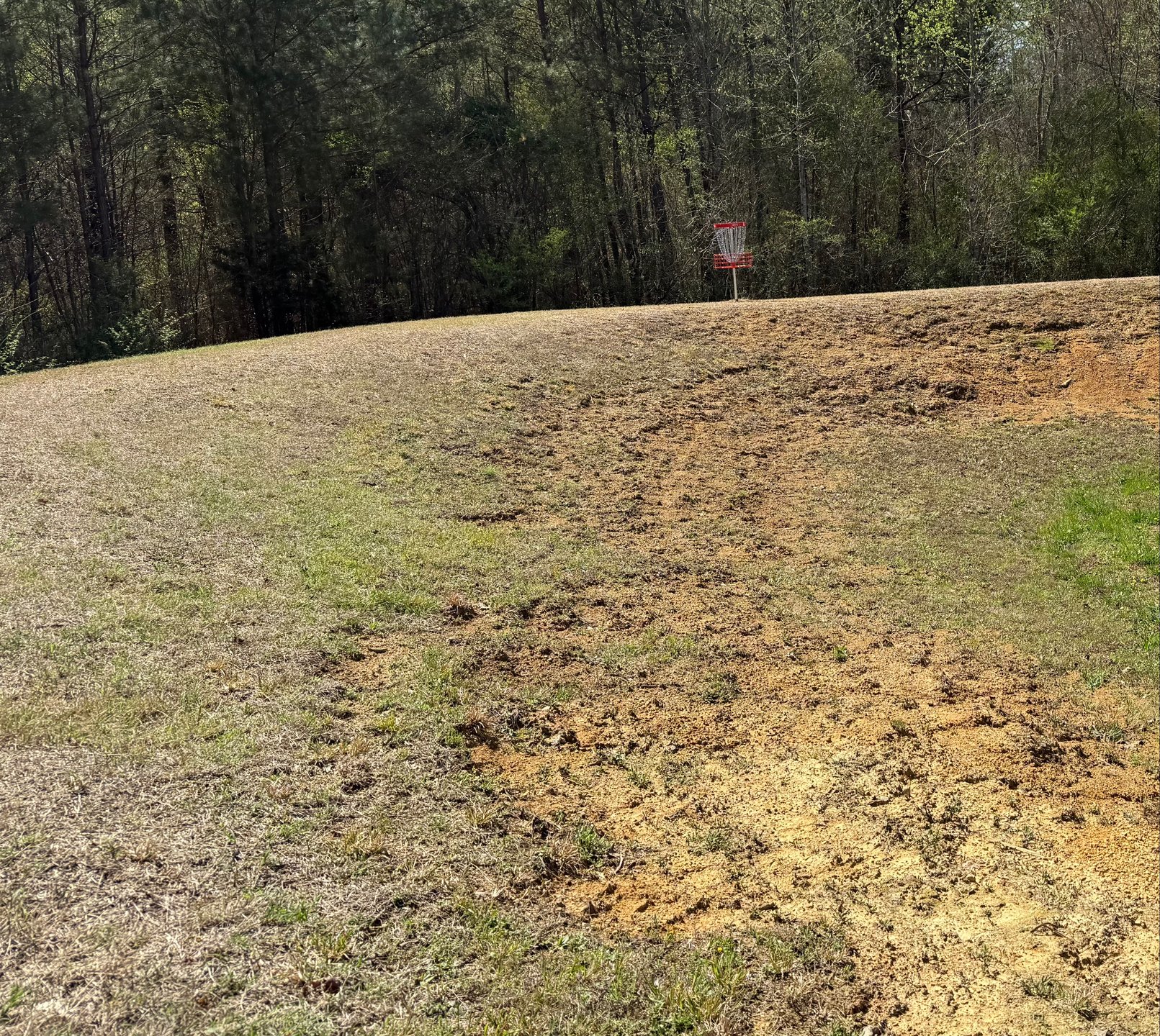 Hole No. 7 behind the black fence