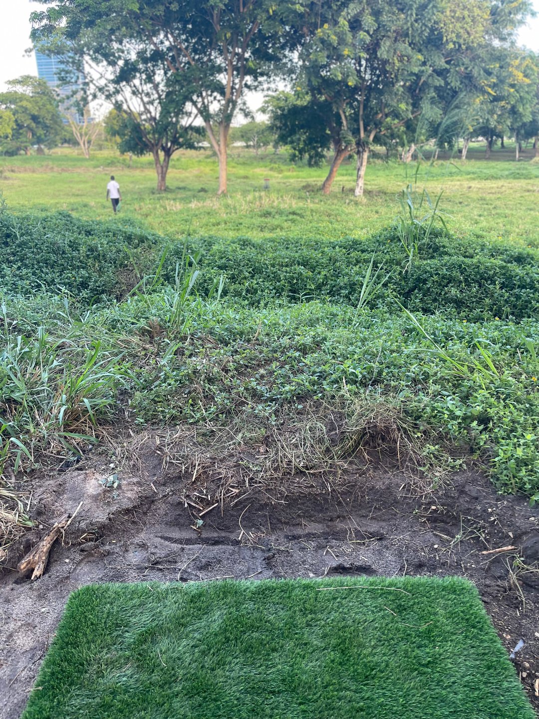 Hole 16 Short Pad