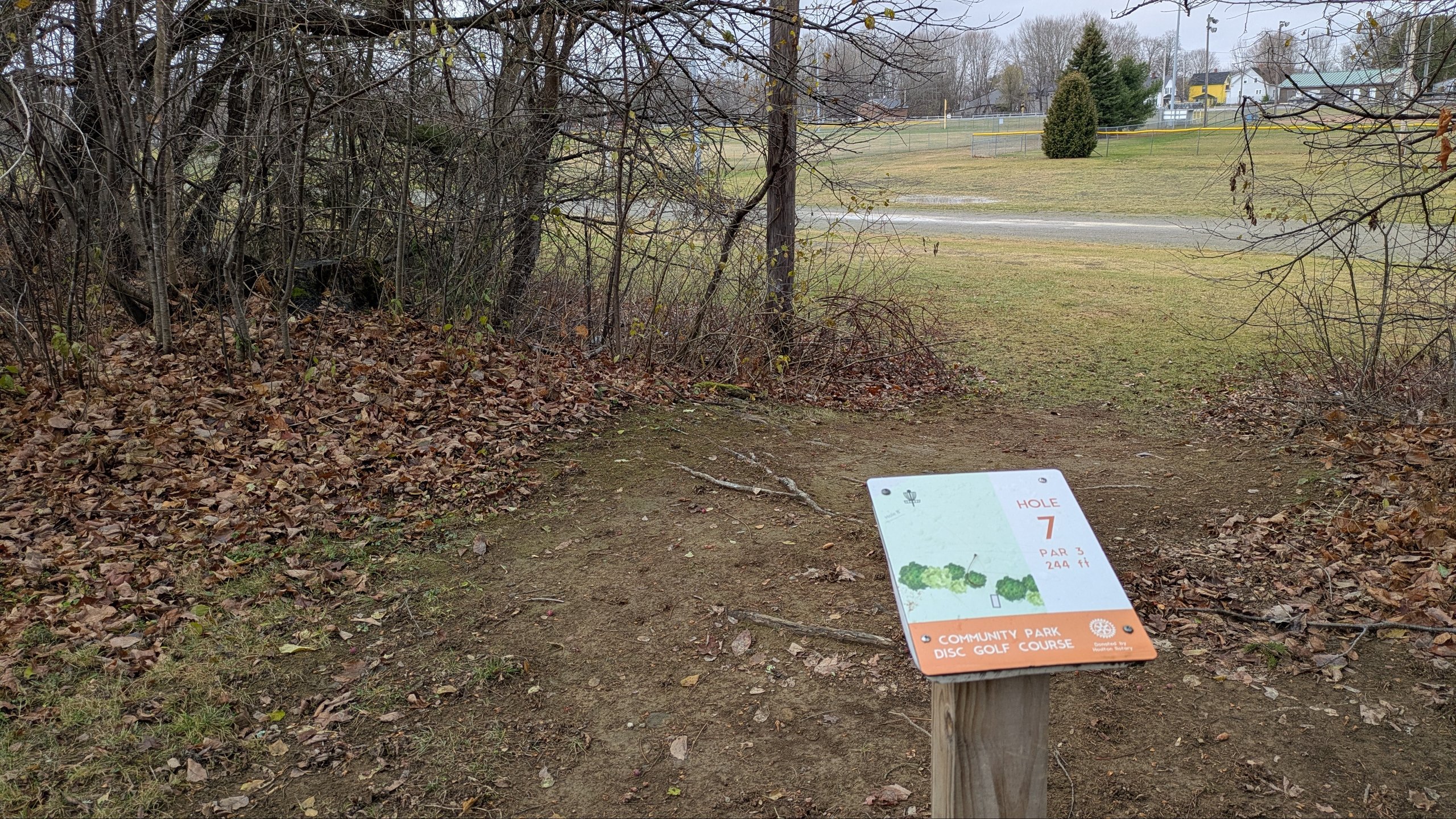 Tee for Hole 7 looking toward Basket 7
