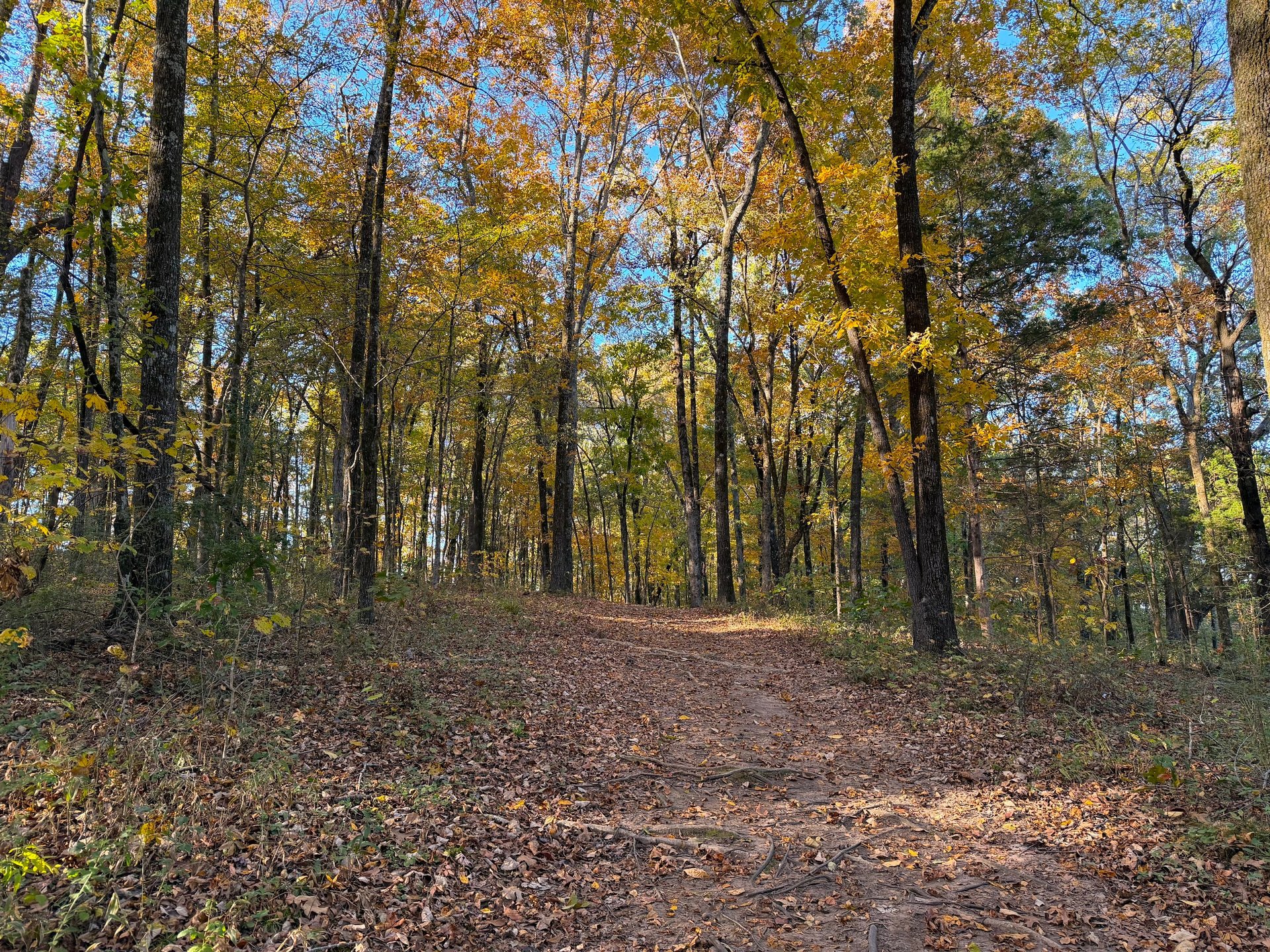 Hole 8 Over-the-Hill Fairway