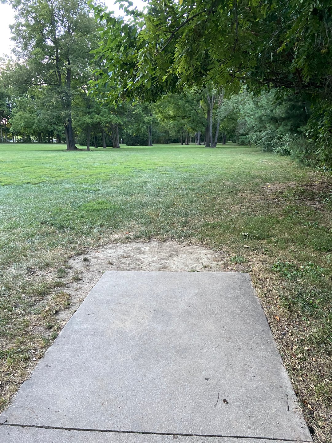 Hole 5.