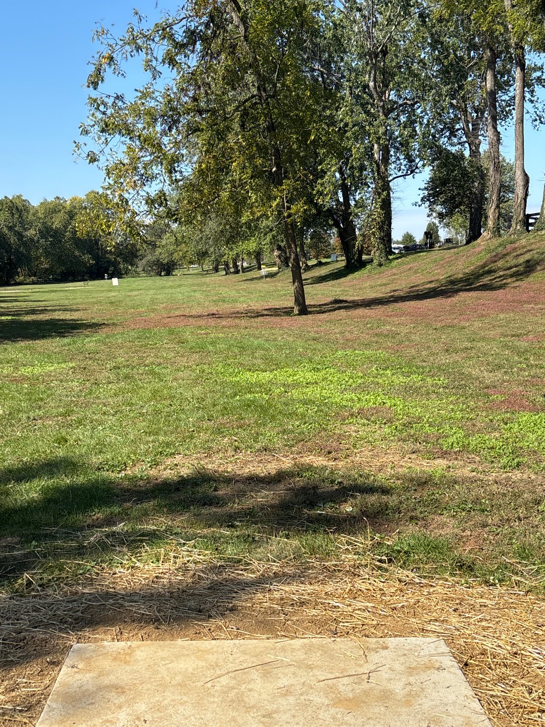 Tee to green