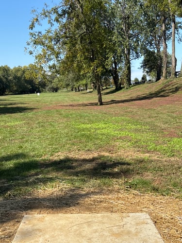 Tee to green