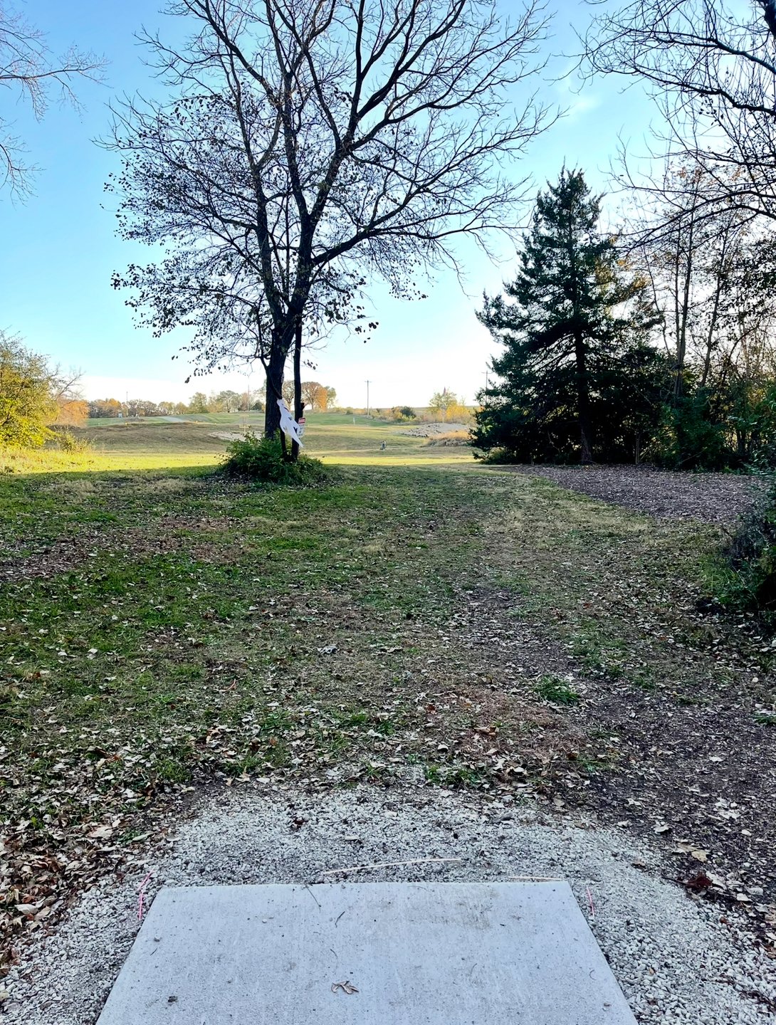 Hole 4 - AM Tee. Have access to either short or long pins. Both pins always in. 