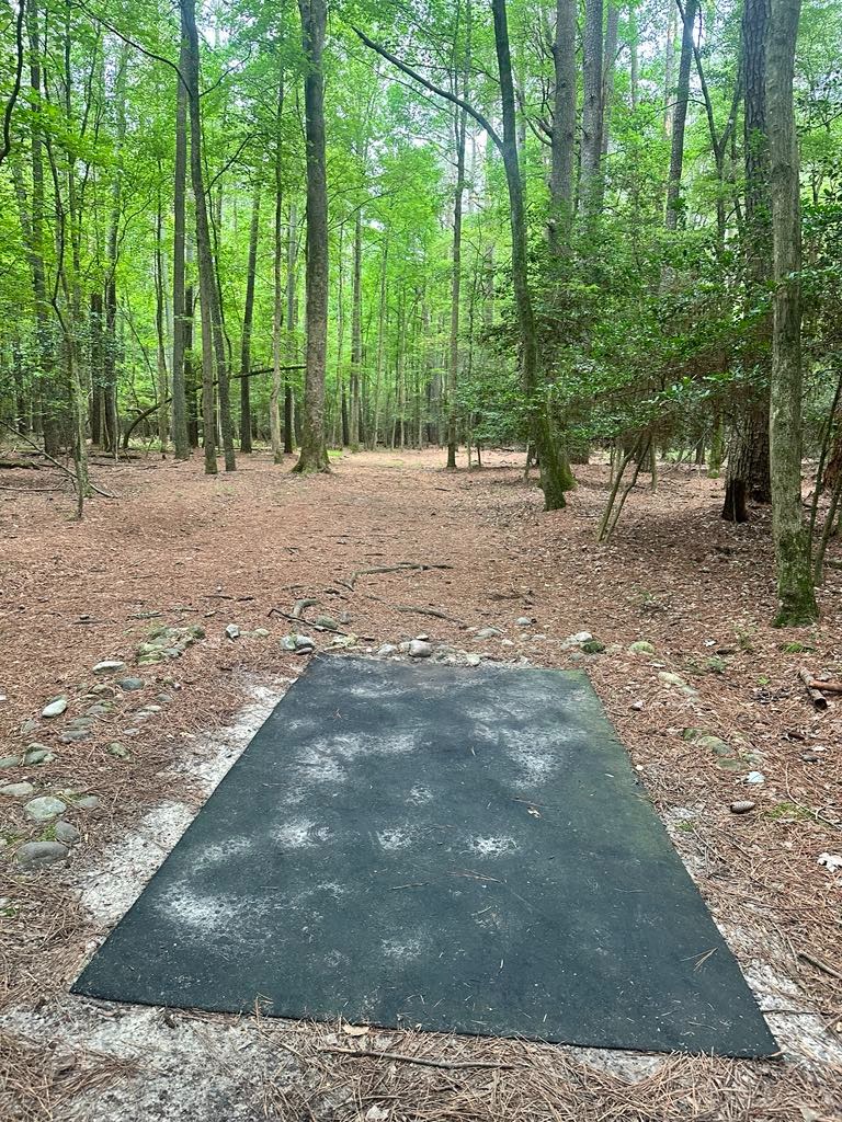 View from long ... dog leg right to straight finish 

New paver install scheduled for 11/22/2025 