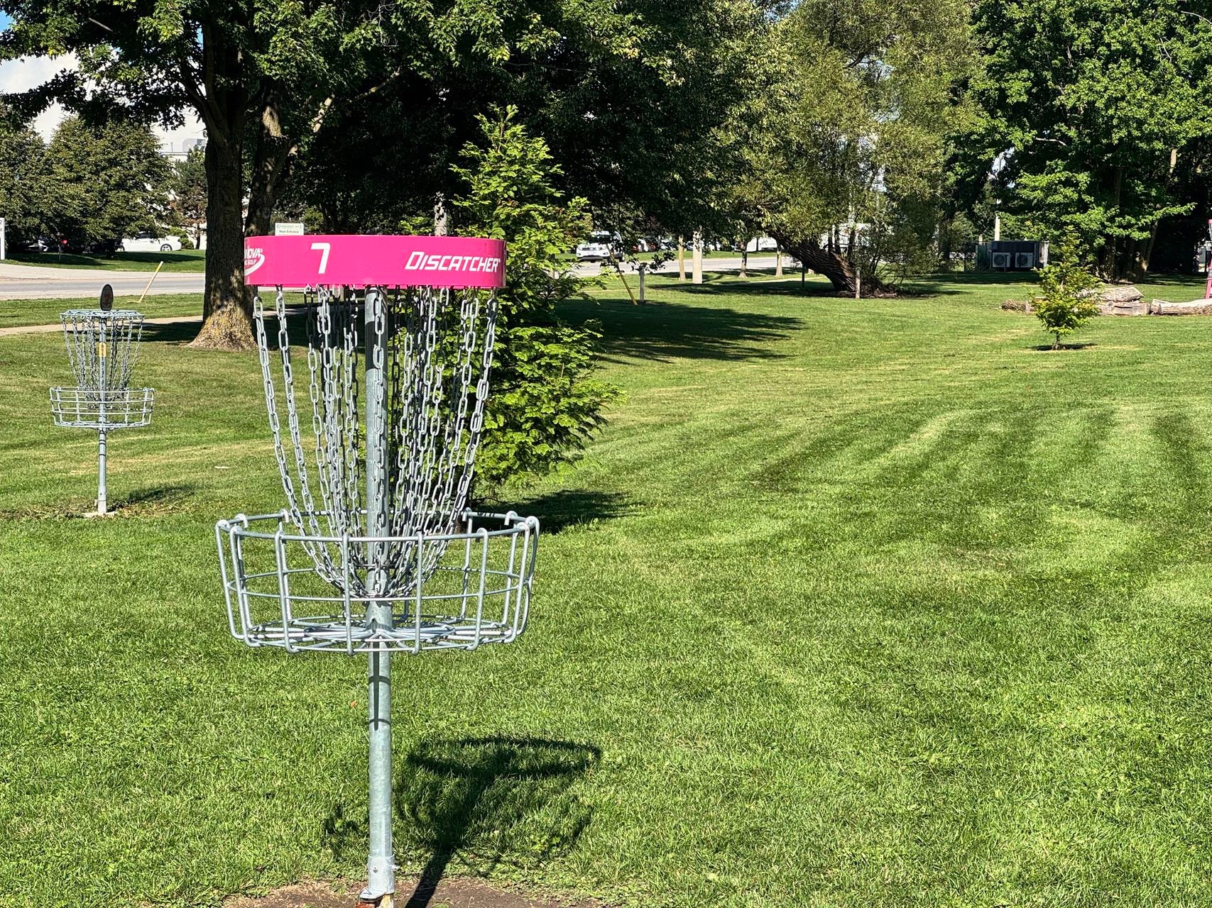 Pink Basket