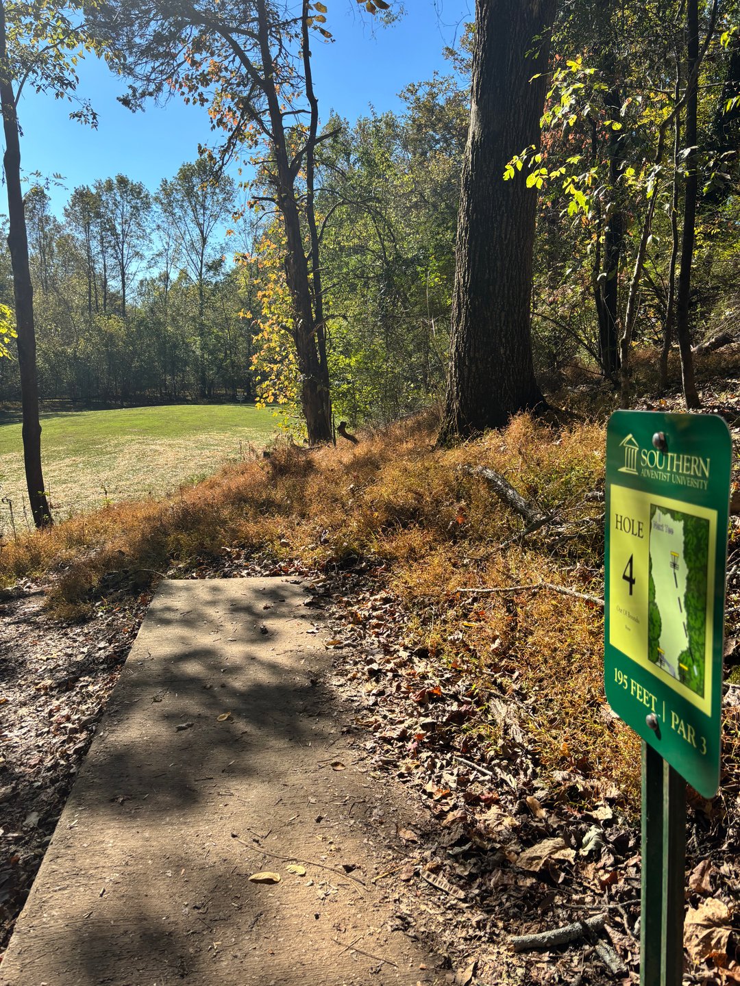 Hole #4 Tee