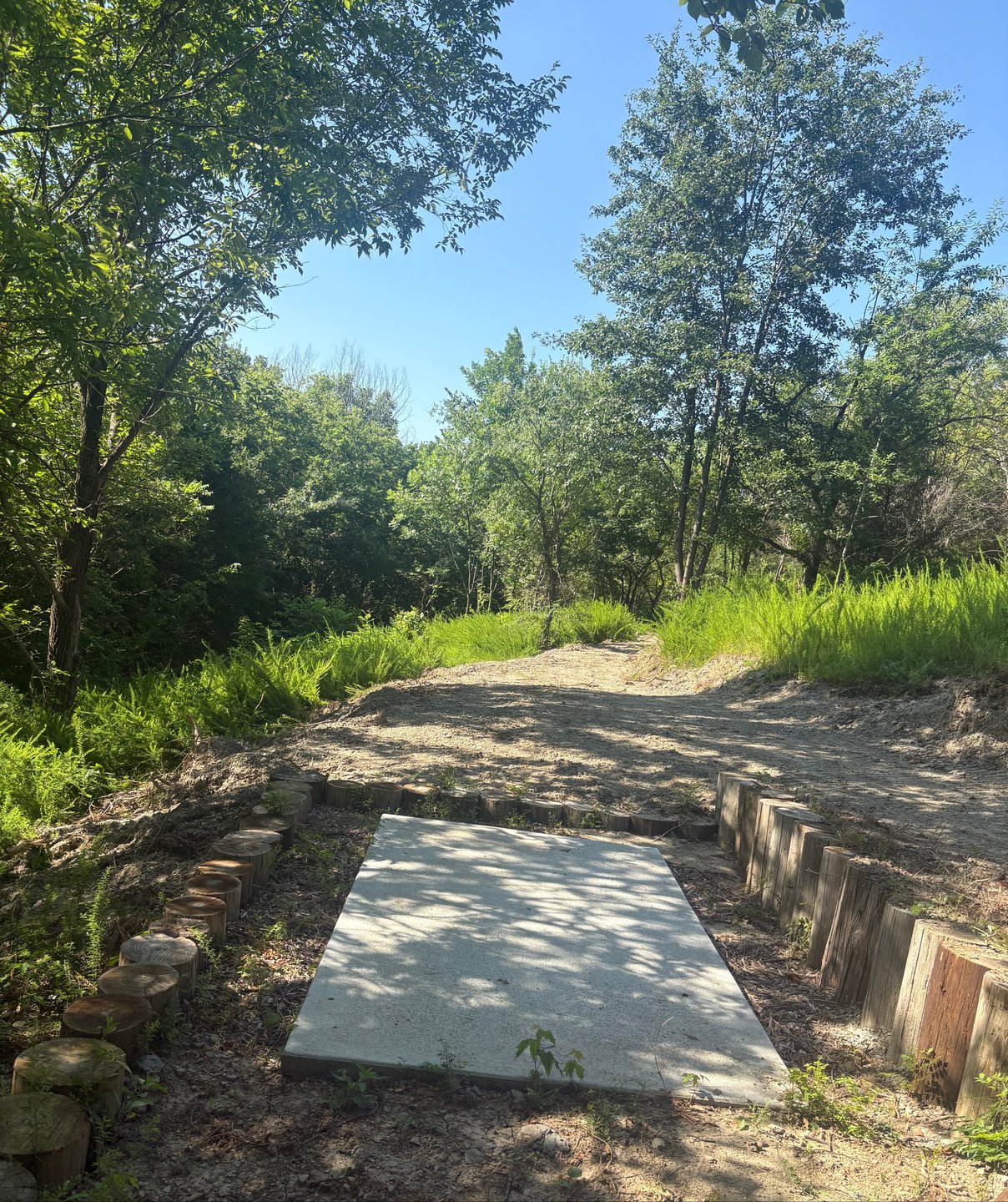 "Over the Moon" hole throws left to right.   Can you get it high enough? 