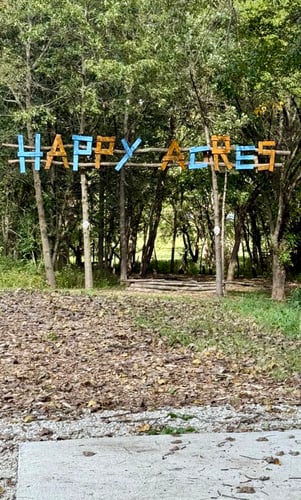 Hole 1 - Am Tee and early fairway.