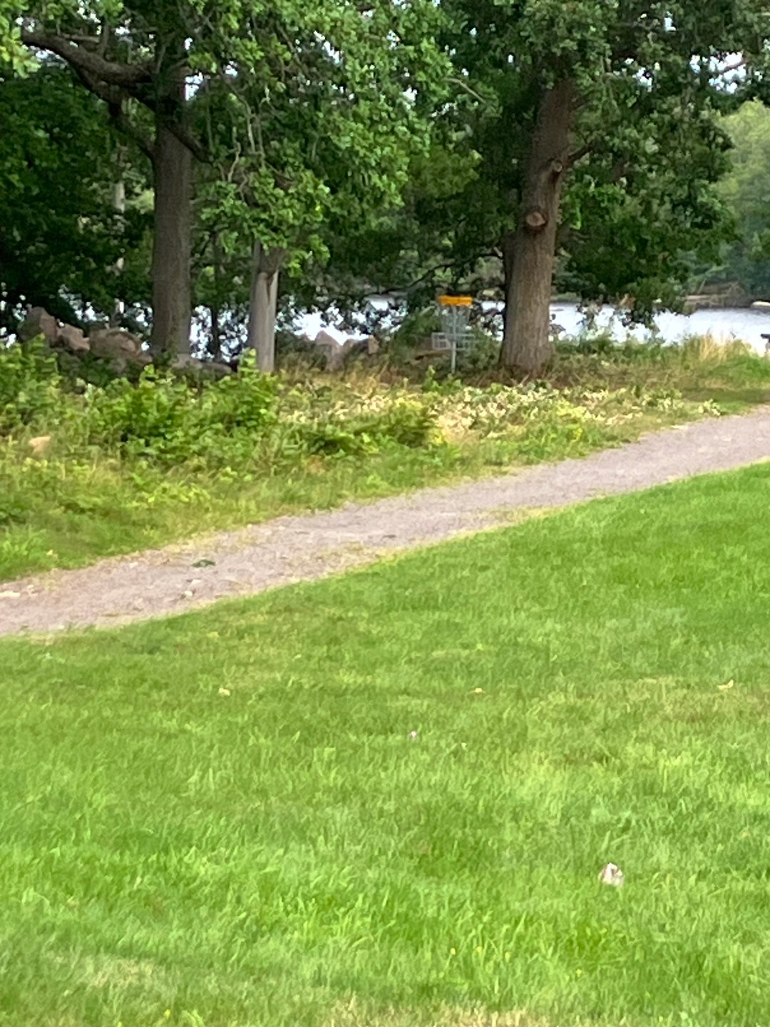 Se upp för eken och sluttningen på vänster sida.