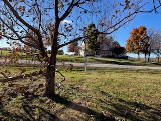 road behind basket is OB