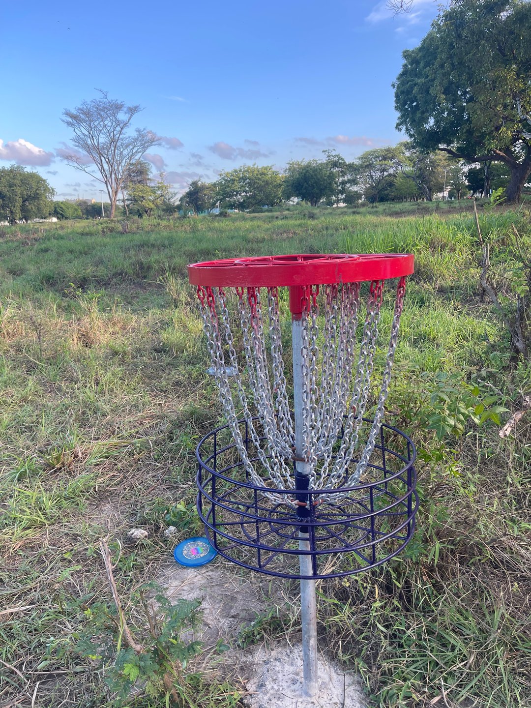 Hole 12 Basket
