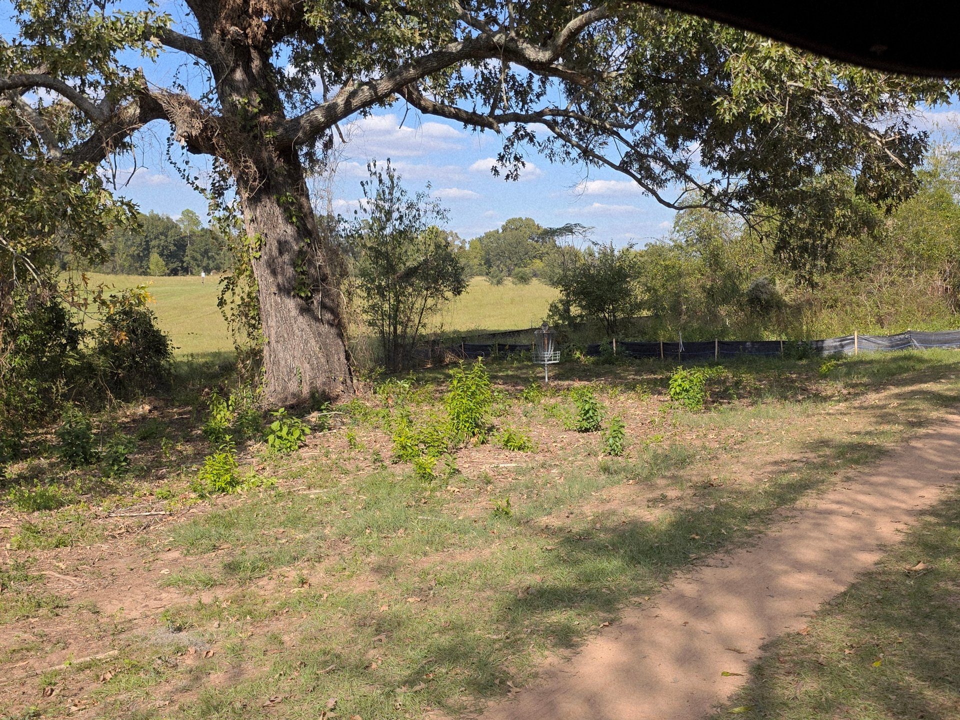 The green of hole 8.