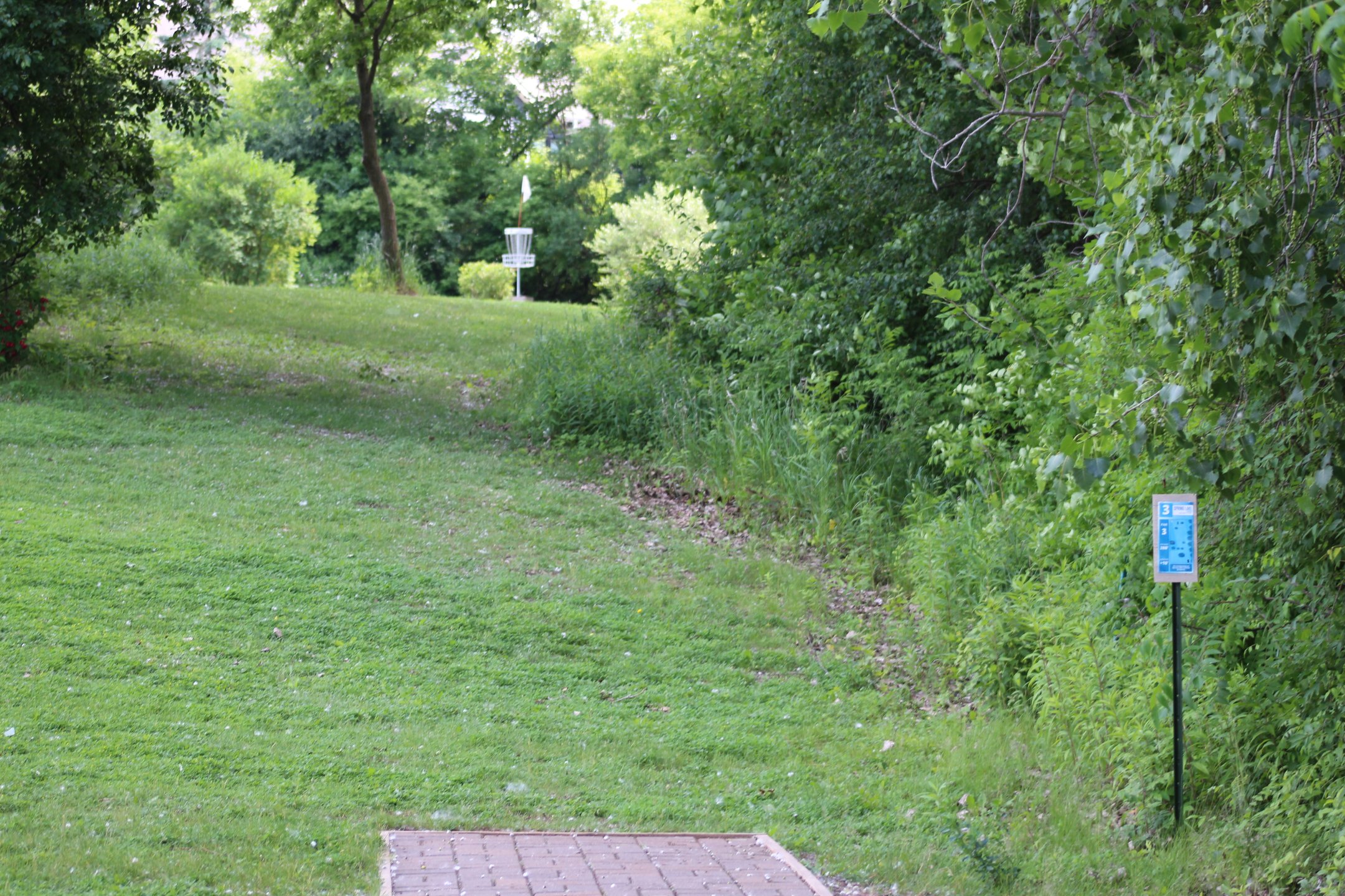 #3: Straight up the hill. "A Pin" is an elevated basket.