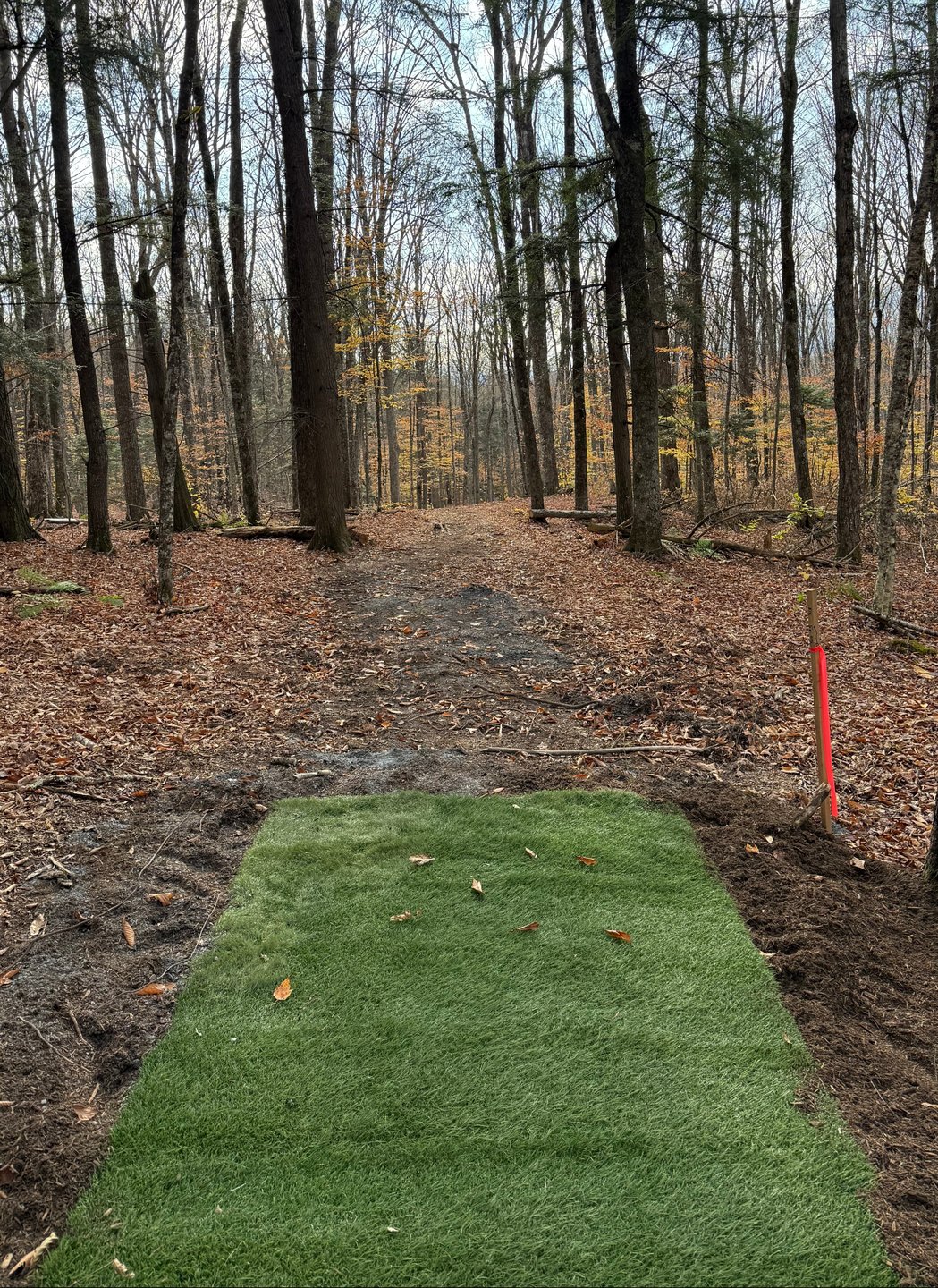 Blue(4)/Gold(3) tee on hole 5