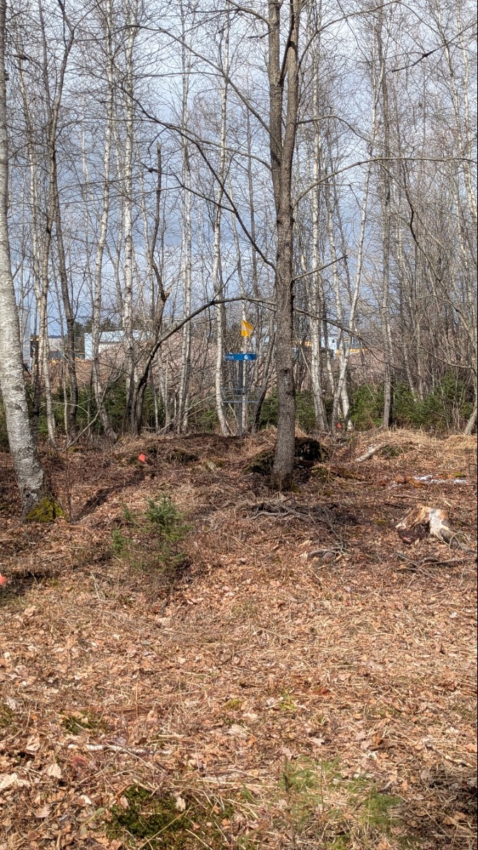 Hole 6 Long Basket