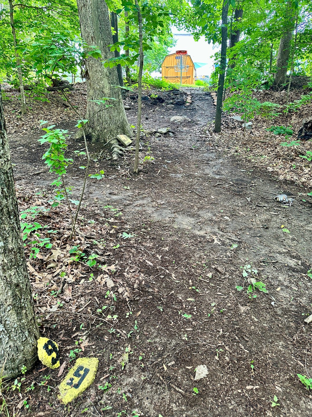Hole #9 is a makeable upshot into the same basket as hole #6. Beware of the tree canopy above. Leave it short and it'll roll back down the hill. Go too long and the asphalt/service road is OB.