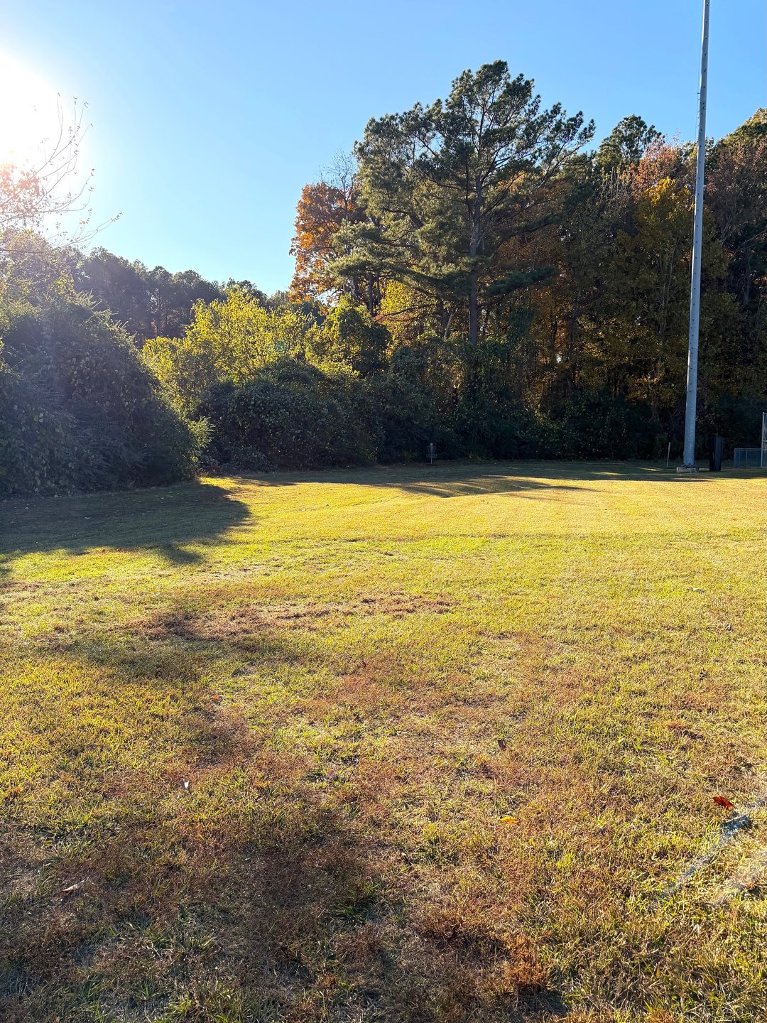 Hole 3 Approaching the Basket