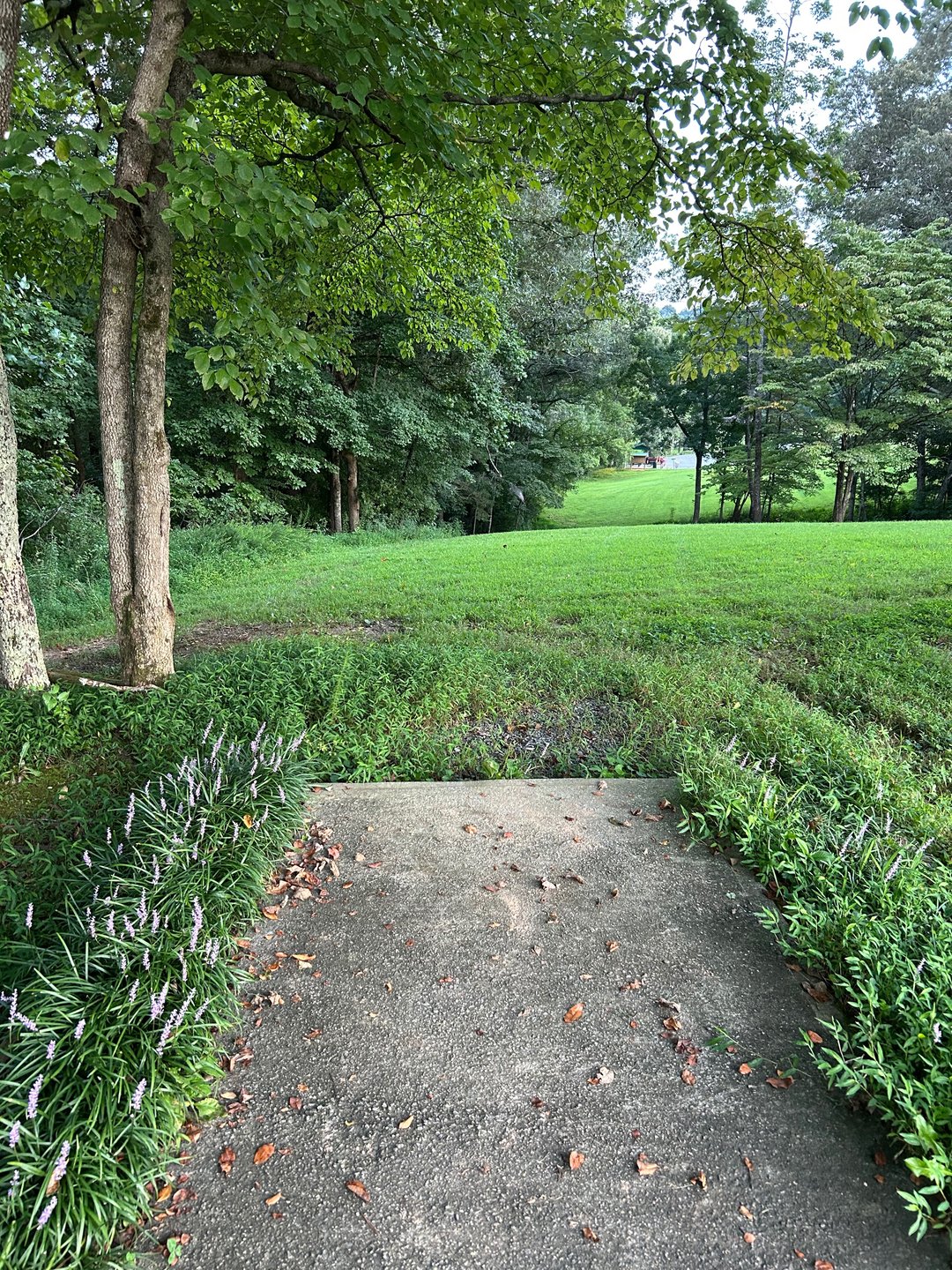 Freshly mowed fairway on Hole 22