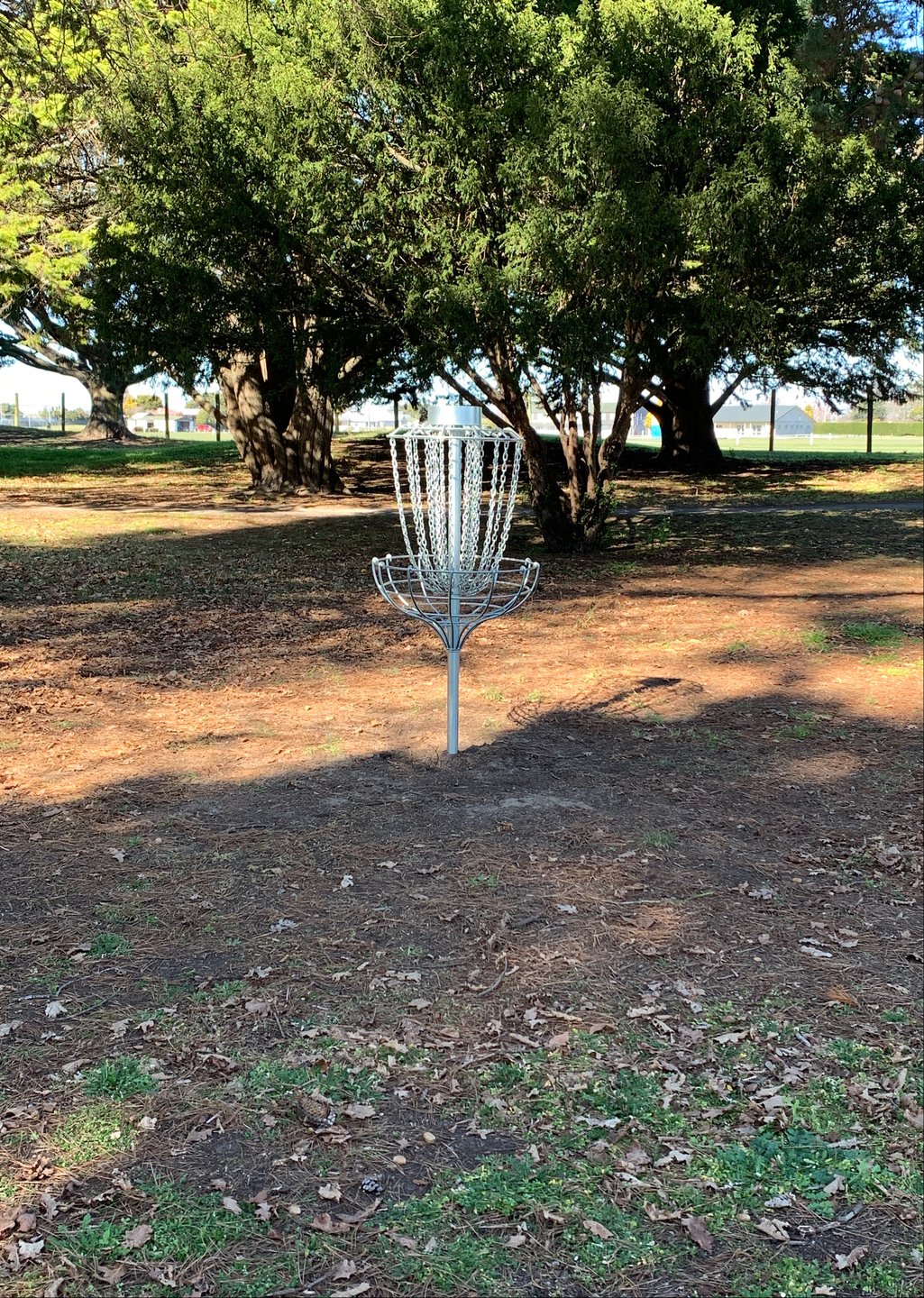 Hole 4 basket