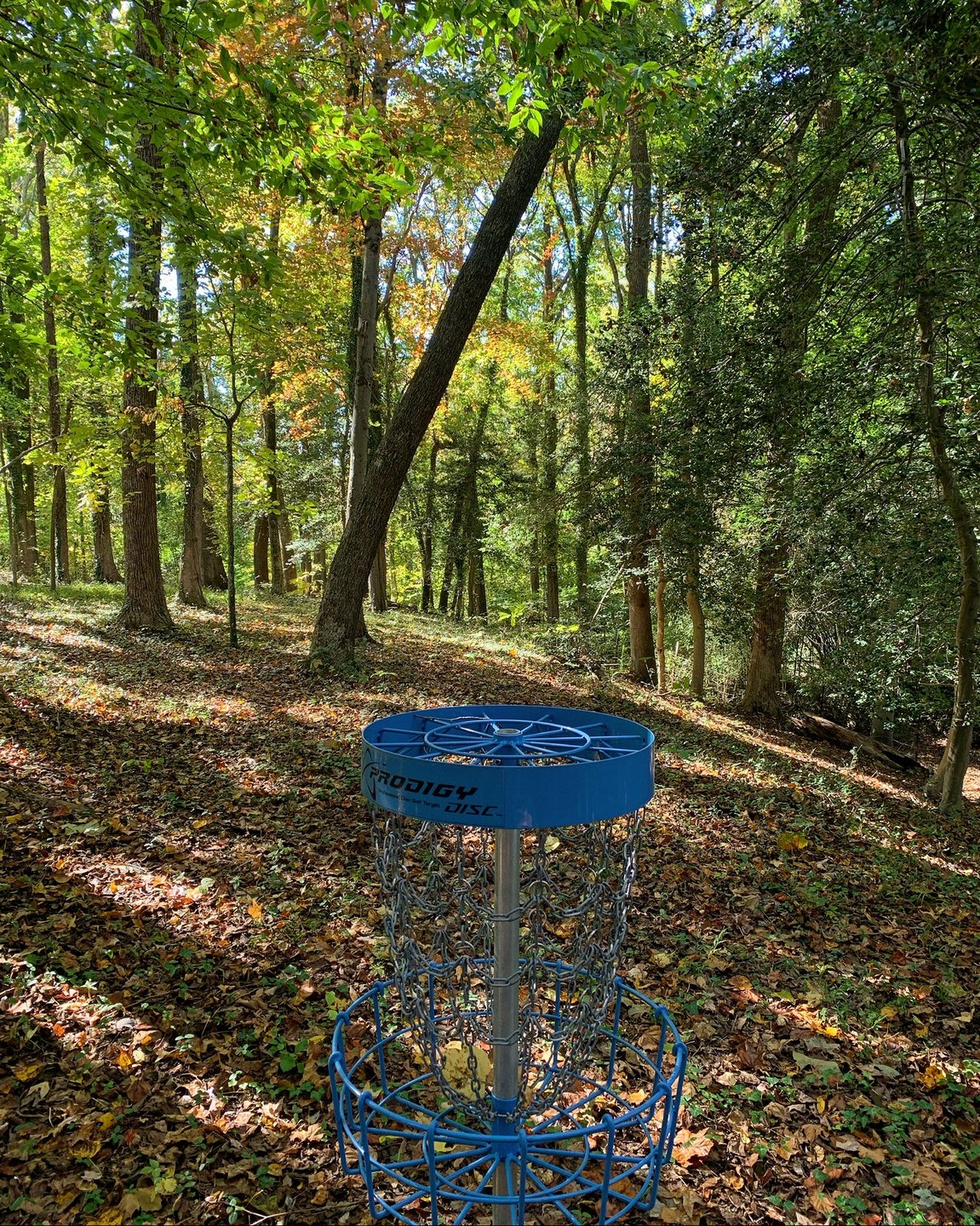 Hole 5 looking back at towards the tee