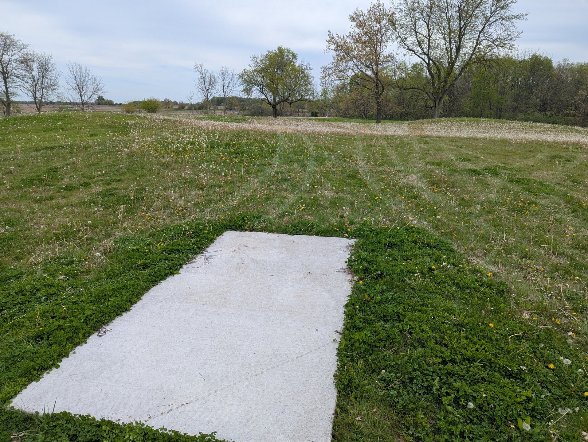Hole 5 Short Tee