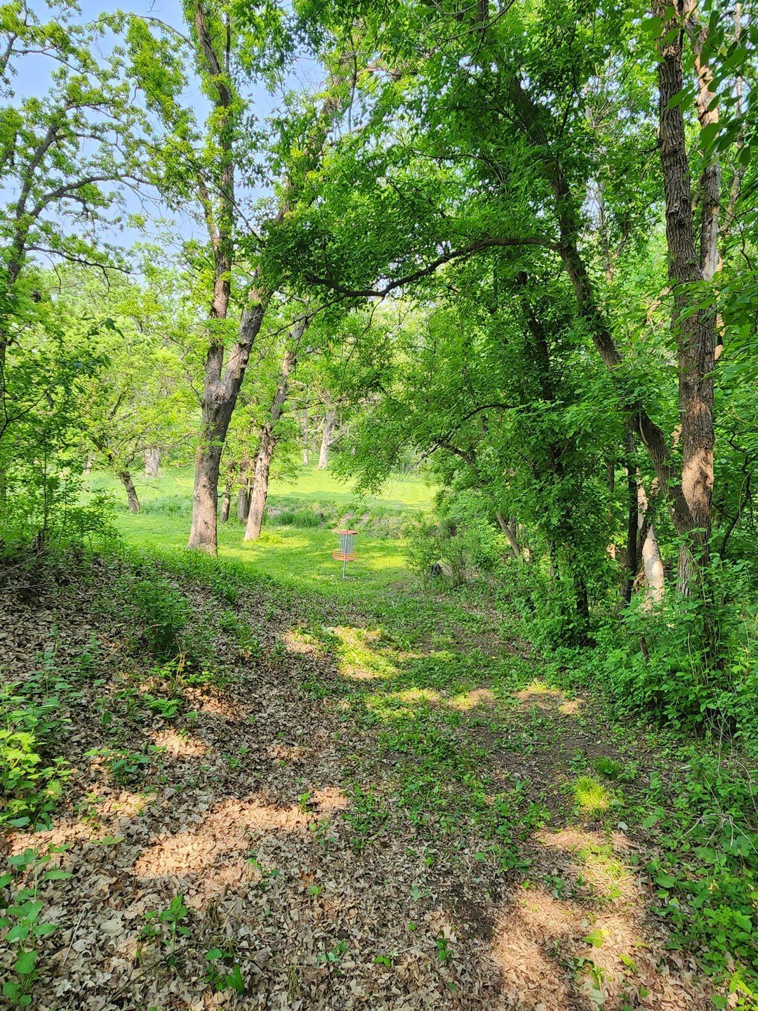 Hole 4 green