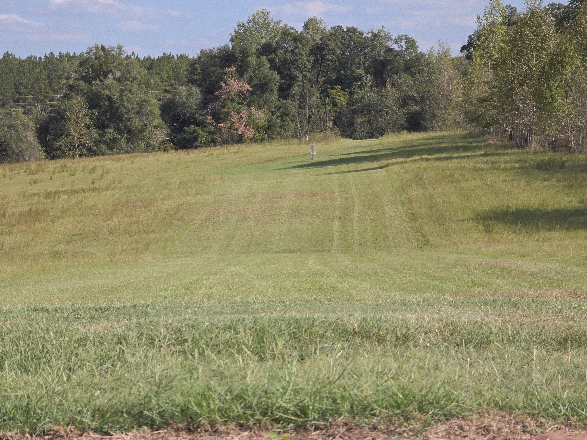 Hole 14's tee shot view.