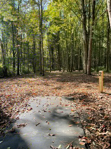 Hole 2, Tee. 